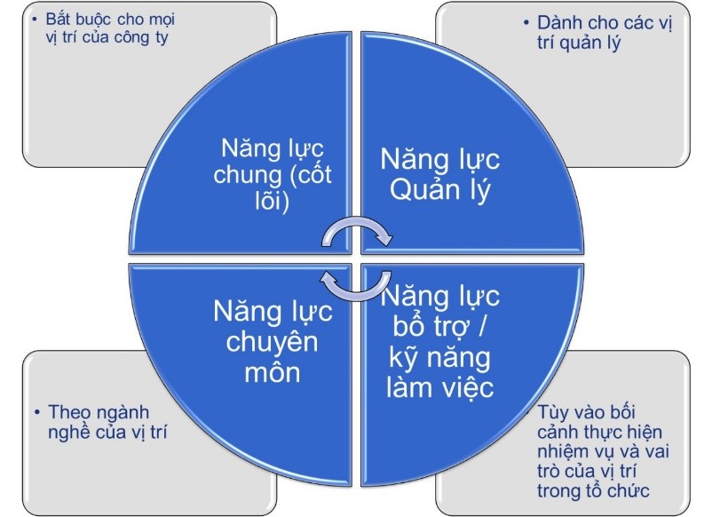 Cấu trúc Khung năng lực