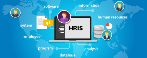 HRIS - Hệ thống thông tin nhân sự