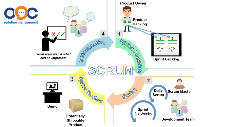 vai trò của mô hình scrum