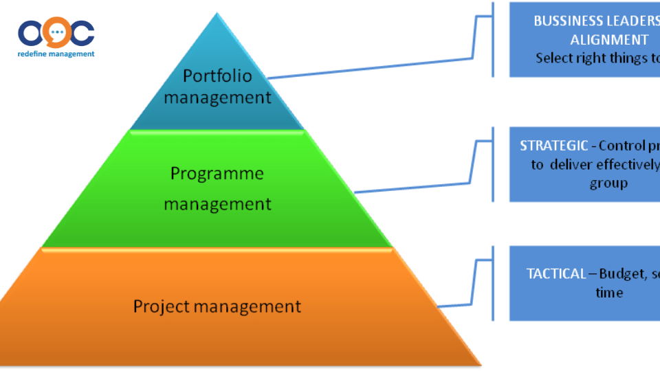 Sự khác nhau giữa Project, Program, Portfolio