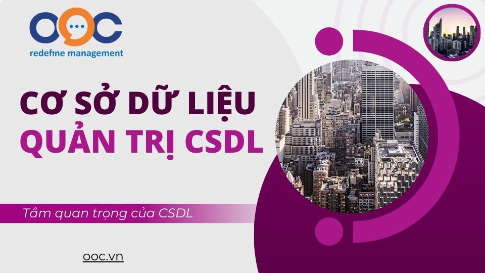 Cơ sở dữ liệu