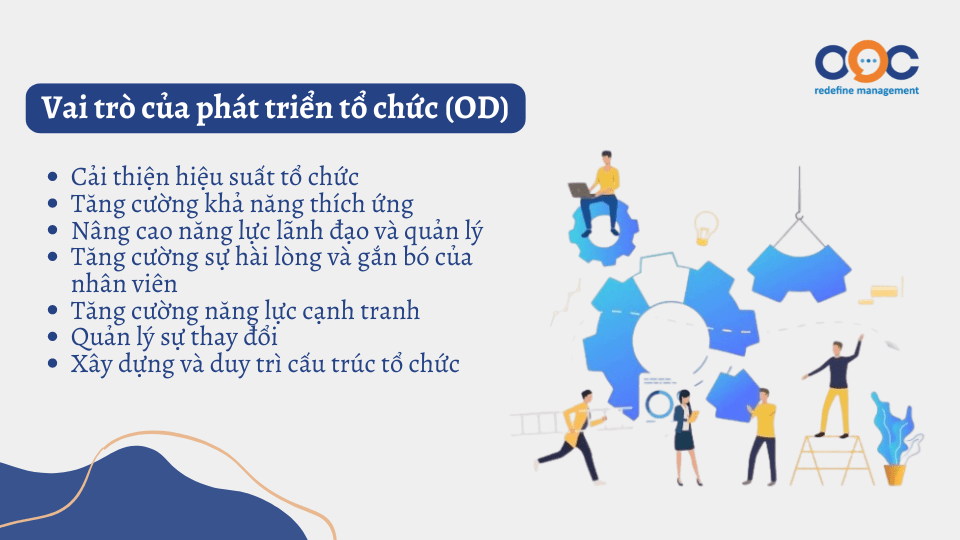 Vai trò của phát triển tổ chức (OD)