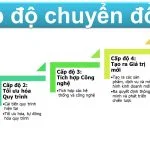 5 cấp độ chuyển đổi số