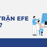 ma trận efe là gì