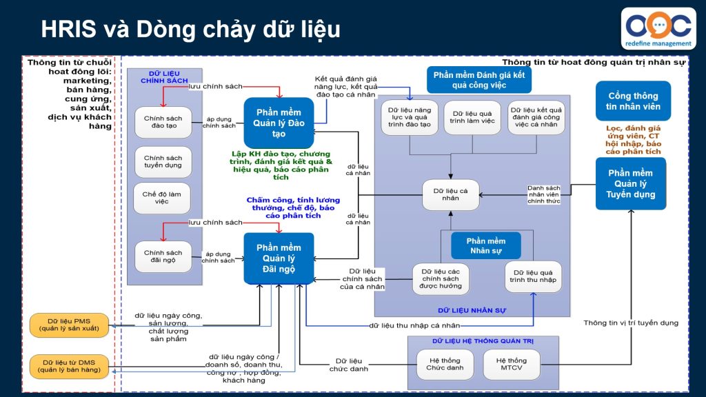 dòng chảy dữ liệu trong hệ thống thông tin nhân sự