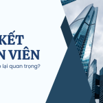 Gắn kết nhân viên là gì Tại sao lại quan trọng