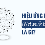 Hiệu ứng mạng (Network Effect) là gì