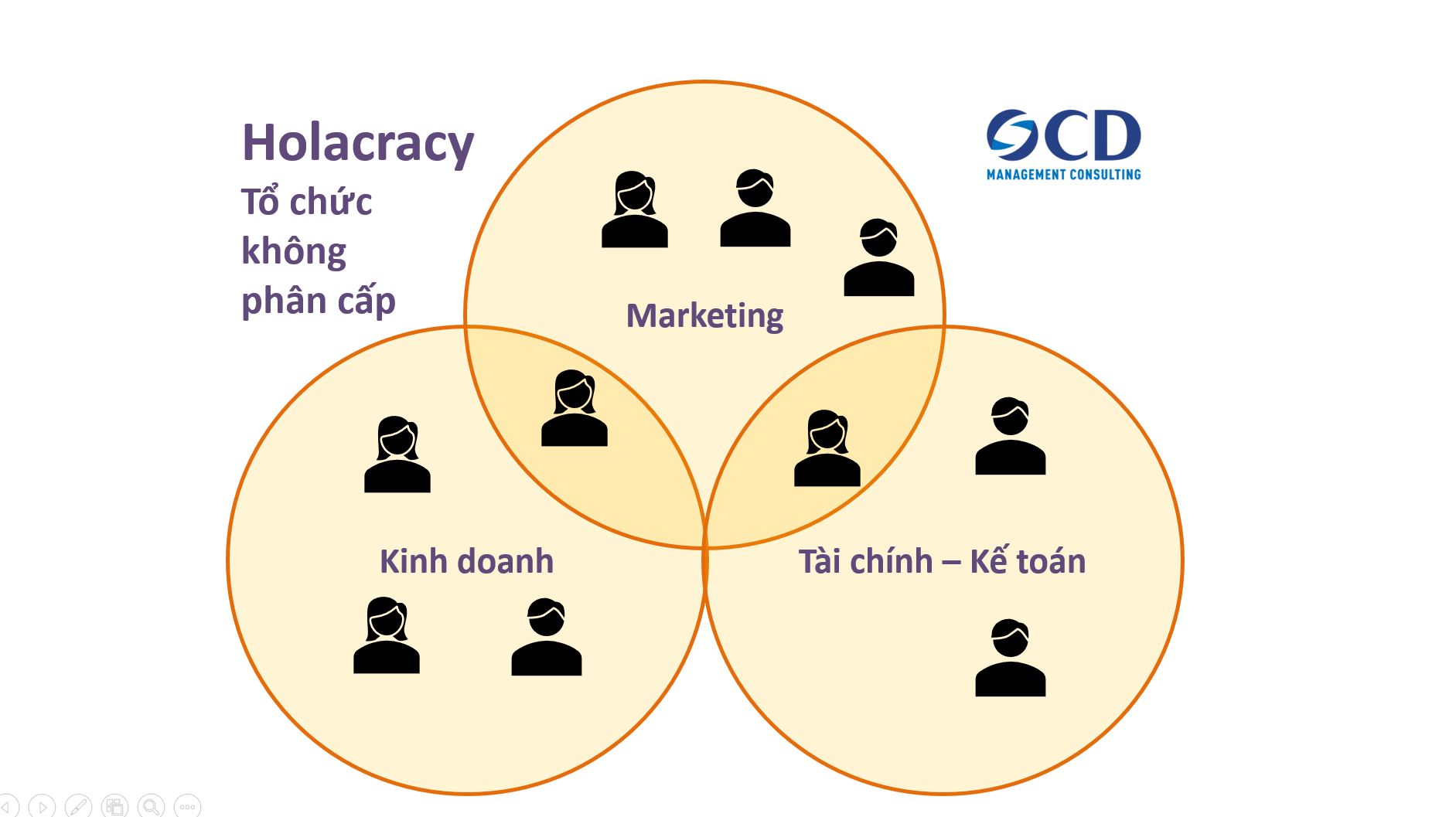 Holacracy - Tổ chức không phân cấp