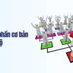 Các cấu phần cơ bản về đãi ngộ
